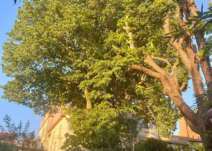 Les Du Tilleul 3* Villefranche-de-Lauragais