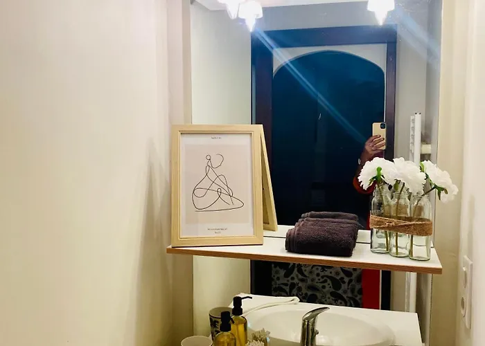 Les Du Tilleul Πανσιόν Villefranche-de-Lauragais