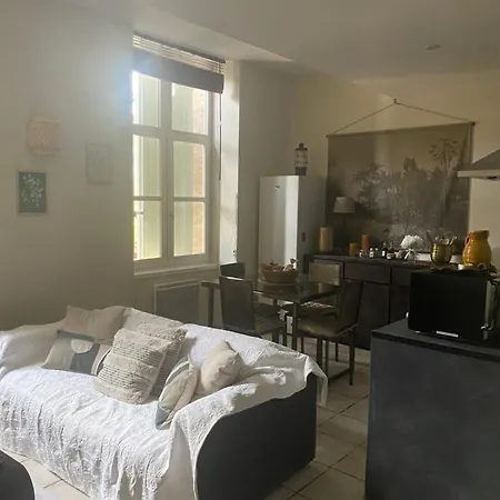 Les Du Tilleul Penzion Villefranche-de-Lauragais